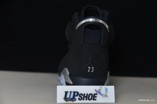 Silver Jordan Retro 6 DX2836-001 Metallic DX2836-001 0123